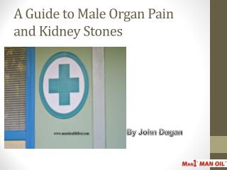 A Guide to Male Organ Pain and Kidney Stones