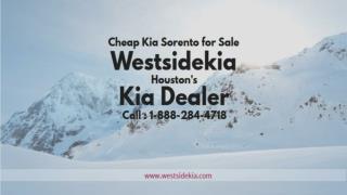 2017 Cheap Kia Sorento for Sale