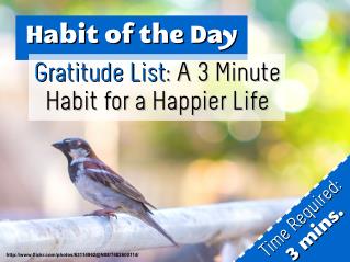 Gratitude List: A 3 Minute Habit for a Happier Life (Habit of the Day)