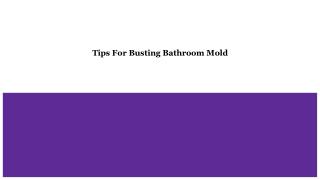 Tips For Busting Bathroom Mold