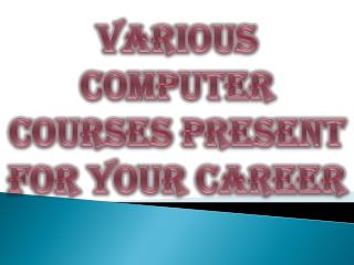 Various Computer Courses Present for Your Career