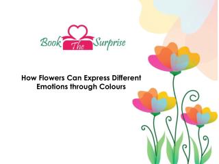 Order Flowers Online from a Variety of Colourful Options