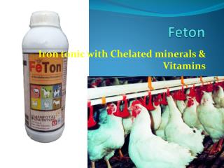 Immunity Modulators poultry medicines