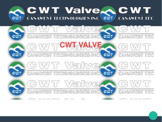 Deal with manufacturers of Check Valve in Canada