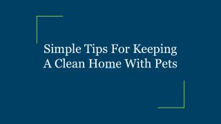 Simple Tips For Keeping A Clean Home With Pets