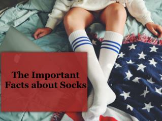 The Important Facts about Socks
