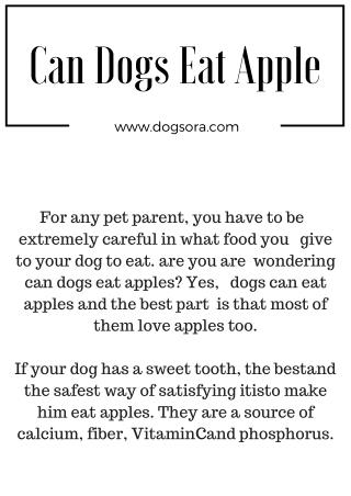 Can Dogs Eat Apples