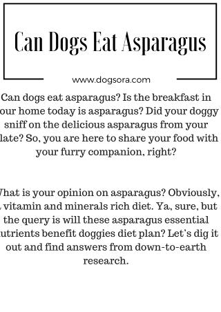 Can Dogs Eat Asparagus