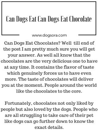 Can Dogs Eat Chocolate