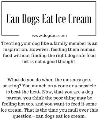 Can Dogs Eat Ice Cream