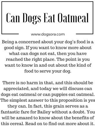 Can Dogs Eat Oatmeal