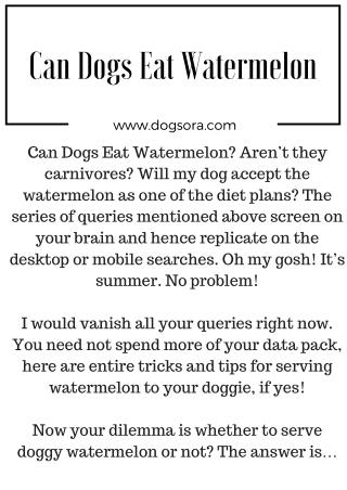 Can Dogs Eat Watermelon