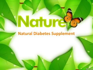 Natural Diabetes Supplement