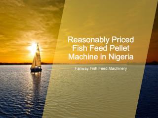 Nigeria Fish Feed Pellet Machine