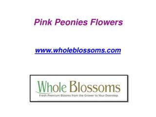 Pink Peonies Flowers - www.wholeblossoms.com