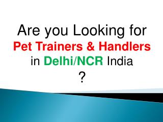 Pet Trainers & Handlers in Delhi/NCR India