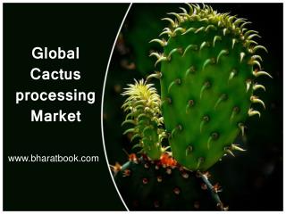 Global Cactus processing Market