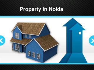 Property in Noida