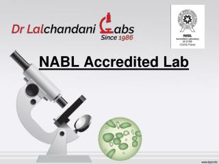 Best Pathology Lab in Delhi - Dr LalChandani Labs
