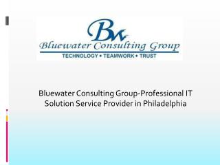 Bluewater Consulting Group-Professional IT Solution Service Provider in Philadelphia