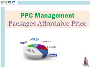 PPC Management Packages Affordable Price - Seorely