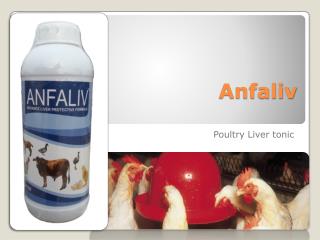 Poultry Liver Stimulants