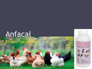 Calcium tonic for poultry