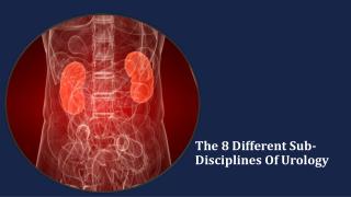 The 8 Different Sub-Disciplines Of Urology