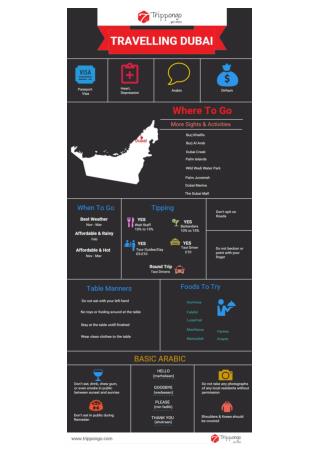 Travelling Dubai Infographic - Trippongo