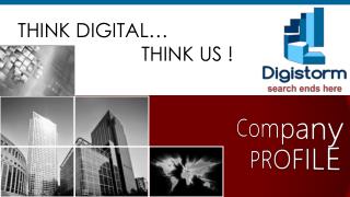 Digistorm marketing agency