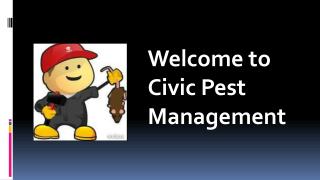 Welcome to Civic Pest Management