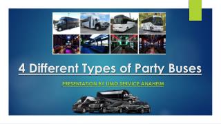 4 Different Types of Party Buses