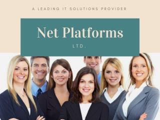 Computer Services London - Net Platforms