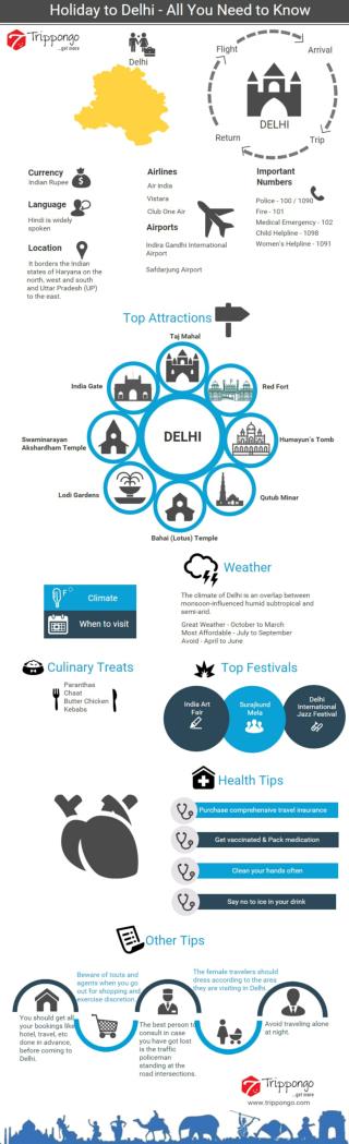 Delhi Travelling Infographic - Trippongo