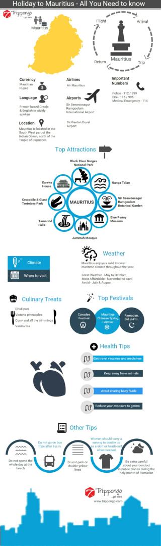 Mauritius Travelling Infographic