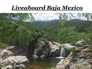 Liveaboard Baja Mexico