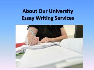 About Our University Essay Writing Services