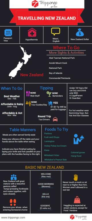 New Zealand Travelling Infographic - Trippongo