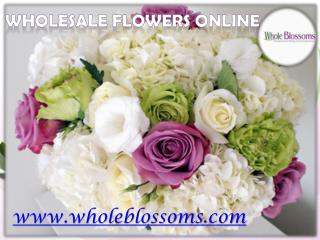 Wholesale Flowers Online - www.wholeblossoms.com