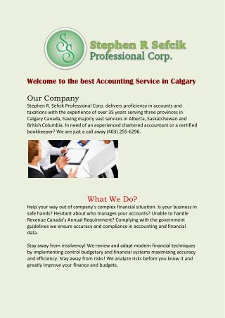 Stephen R Sefcik Professional Corporation - Calgary Accounting Services
