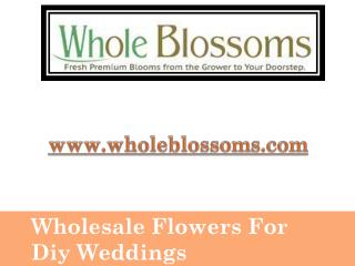 Wholesale Flowers For Diy Weddings - www.wholeblossoms.com