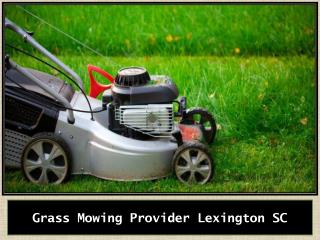 Grass Mowing Provider Lexington SC