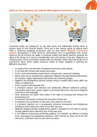 Shopping cart software solution for magento ecommerce