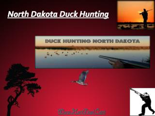 North Dakota Duck Hunting