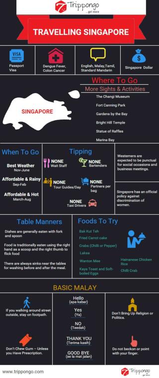 Singapore Travelling Infographic - Trippongo