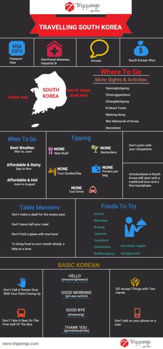South Korea Travelling Infographic - Trippongo
