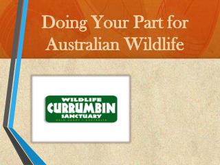 Doing Your Part for Australian Wildlife