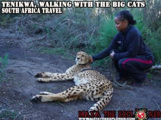 Walking With the Big Cats Adventure Travel is a Must