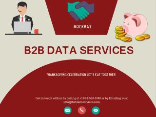 B2B Data Services - Data Management