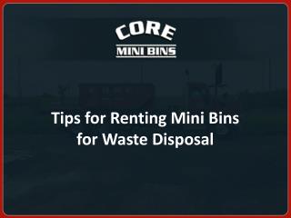 Tips for Renting Mini Bins for Waste Disposal